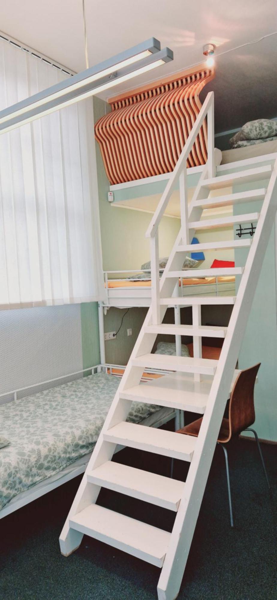 טאלין Freedom65 Hostel And Caravan מראה חיצוני תמונה