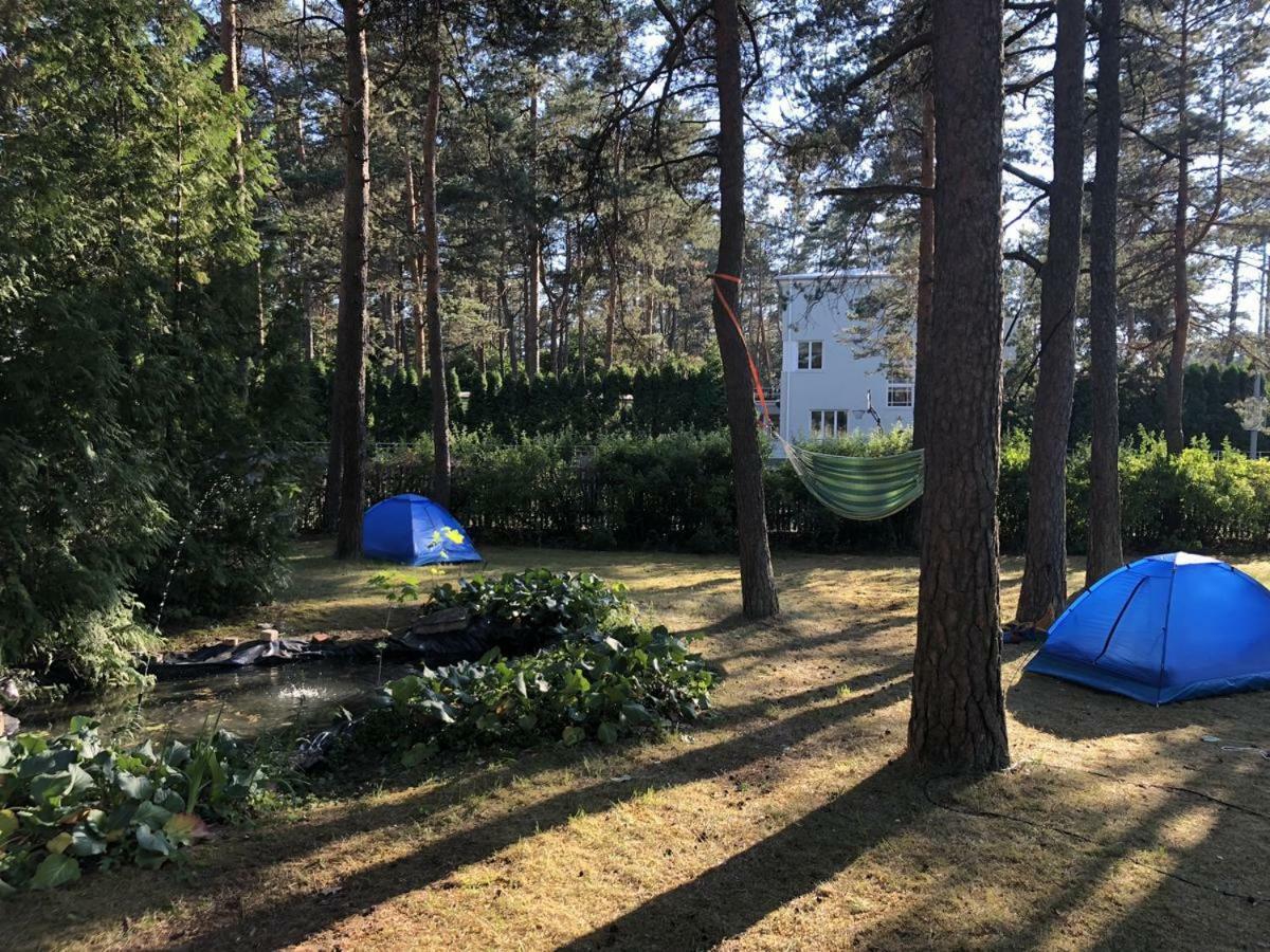 טאלין Freedom65 Hostel And Caravan מראה חיצוני תמונה